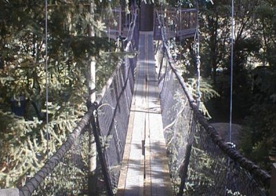 Treehouse-Bridge