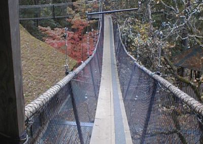 Treehouse-Bridge