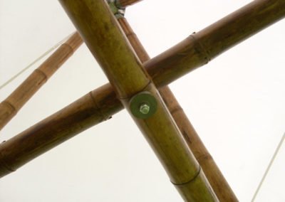 Sustainable-Bamboo
