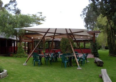 Sustainable-Bamboo-Canopy