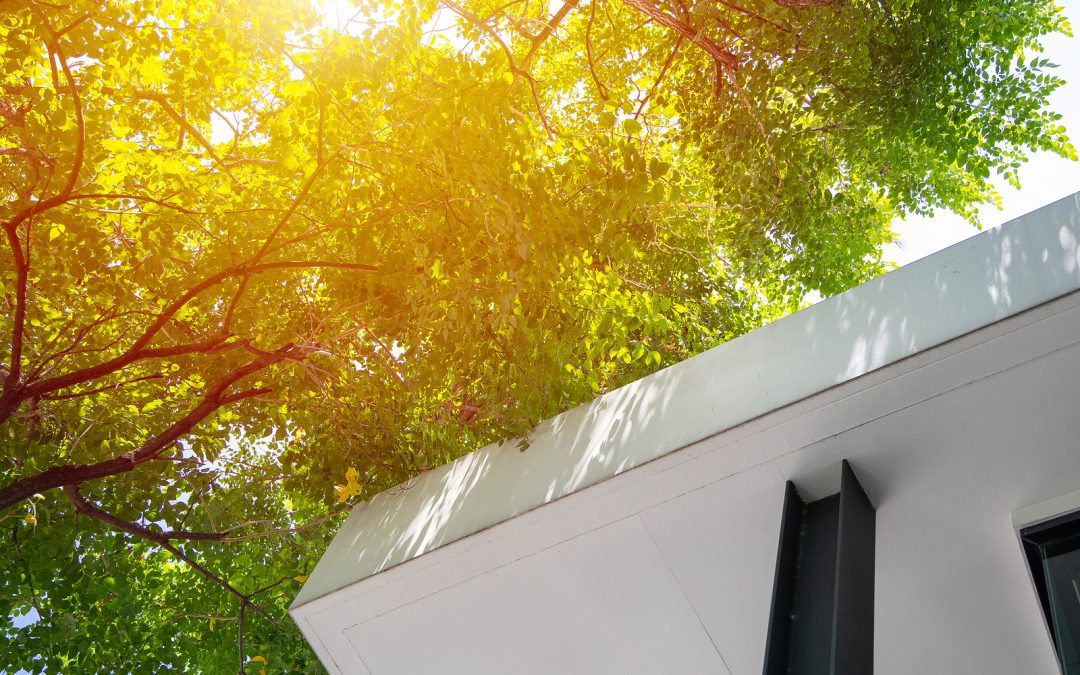 What Sustainable Home is Right for You?